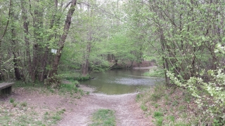 Un'oasi in mezzo al verde