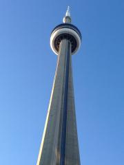 Toronto è una citt� dell'estremo Sud-Est del Canada, capoluogo della provincia dell'Ontario e centro più popoloso del Canada con i suoi 2.503.281 abitanti._2