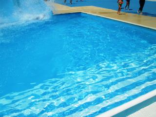 Aquatica è il parco acquatico di Milano che consente a grandi e bambini di trascorrere intere giornate all'insegna del divertimento._3
