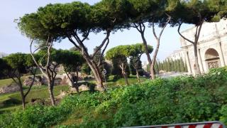 Il Colosseo è il più grande anfiteatro del mondo, situato nel centro della città di Roma._6