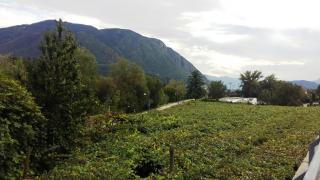 Bolzano è un comune italiano di 107 343 abitanti, capoluogo dell'omonima provincia autonoma in Trentino-Alto Adige/Südtirol._4
