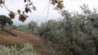 Famosa nel mondo per il suo buon vino_4