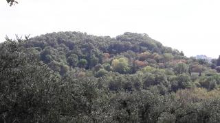 Famosa nel mondo per il suo buon vino_6