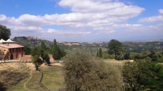 Famosa nel mondo per il suo buon vino_3