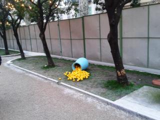 2000 leghe sotto i mari, è il tema del carnevale dei limoni 2014._3
