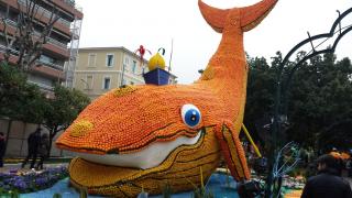 2000 leghe sotto i mari, è il tema del carnevale dei limoni 2014._4