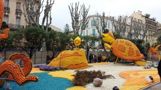 2000 leghe sotto i mari, è il tema del carnevale dei limoni 2014._4